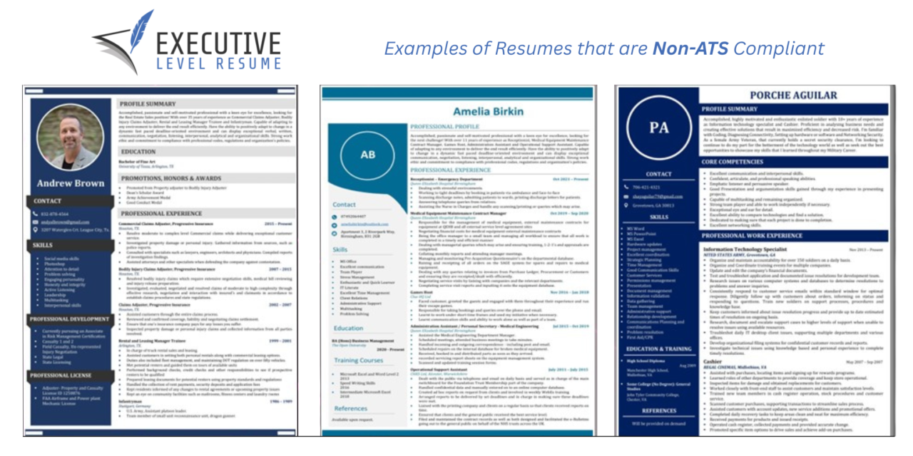 About Us - Executive Level Resume